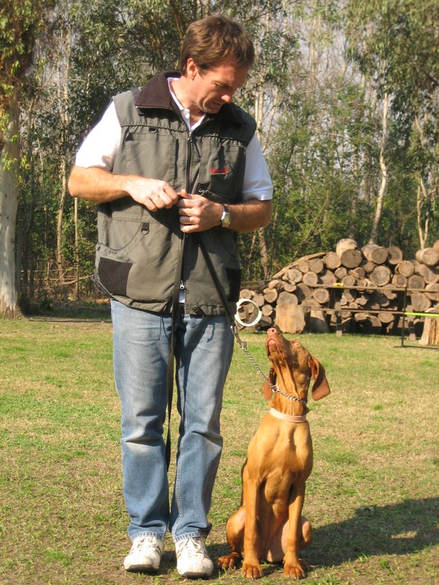 Educación canina